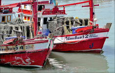 comp_DSC03675.jpg
