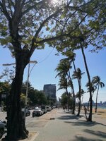 IMG_20230104_125910.jpg