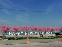 IMG_20230104_103019.jpg