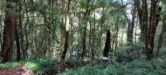 Doi Inthanon (8).jpg Doi Inthanon (8).jpg