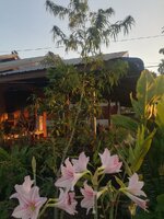 IMG_20230115_173418.jpg