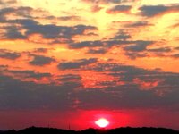 IMG_20230117_065145.jpg