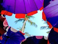 IMG_20230117_142505.jpg