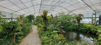 Queen Sirikit Botanic Garden (33).jpg