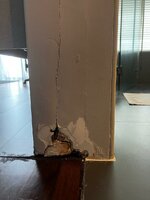 WhatsApp Image 2023-02-14 at 13.30.59 (3).jpeg