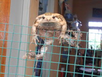 DSCN8799.JPG