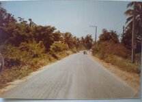 IMG_20230317_083531058~3.jpg IMG_20230317_083531058~3.jpg