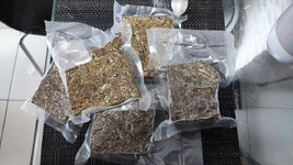 IMG_20230401_132807.jpg IMG_20230401_132807.jpg