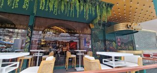 1680521141635.jpeg 1680521141635.jpeg