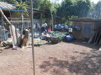 DSCN0451.JPG
