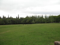 Argentinie-Mendoza ''Park General San Martin'' (12).JPG