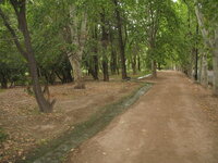 Argentinie-Mendoza ''Park General San Martin'' (14).JPG