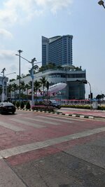 PXL_20230412_030555794.jpg
