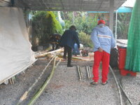 DSCN0721.JPG