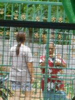 IMG_20190801_140329.jpg