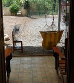 IMG_20200514_121437.jpg