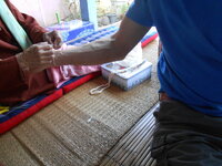 DSCN9985_new_new.jpg
