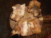 DSCN2973.JPG