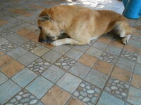 DSCN2980.JPG