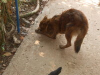DSCN2981.JPG