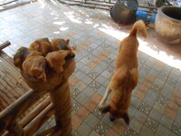 DSCN2978.JPG