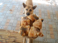DSCN2977.JPG