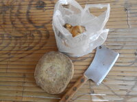 DSCN2969.JPG