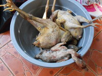 DSCN3142.JPG