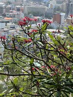 IMG_5098.jpeg