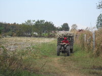 DSCN0521.JPG