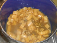 DSCN9365_new.jpg