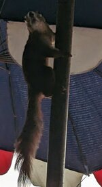 PXL_20230430_044317730.jpg