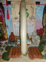 IMG_20191016_135801.jpg