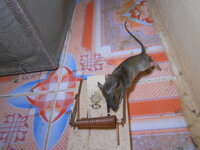 DSCN9934.JPG DSCN9934.JPG