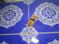 DSCN9940.JPG DSCN9940.JPG