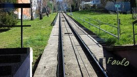 45590214yx.jpg