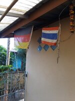 IMG_20230505_080327_879.jpg