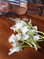 IMG_20230505_080007_806.jpg