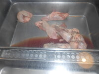 DSCN1052.JPG