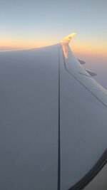 IMG_20230503_023802871.jpg