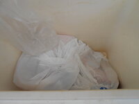 DSCN1106.JPG