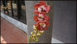 DSC07945.jpg