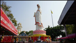 DSC07972.jpg