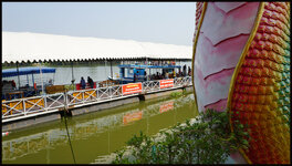 DSC07988.jpg