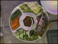 DSC08013-02.jpg