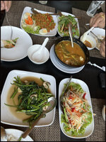 DSC08033-01.jpg