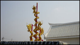 DSC08036.jpg