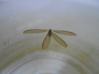 DSCN9262.JPG