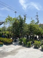 IMG_4420.jpeg