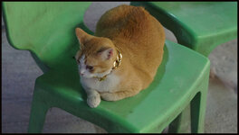 DSC08271.jpg